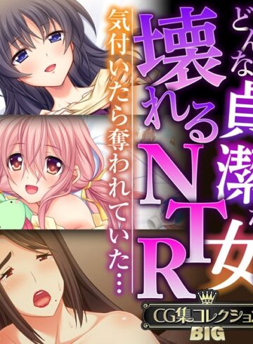 単行本❤どんな貞潔な女も壊れるNTR〜気付いたら奪われていた…〜【CG集コレクションBIG】｜大人のSEXY絵本