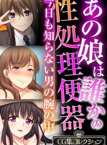 単行本❤あの娘は誰かの性処理便器 〜今日も知らない男の腕の中〜【CG集コレクションBIG】｜大人のSEXY絵本