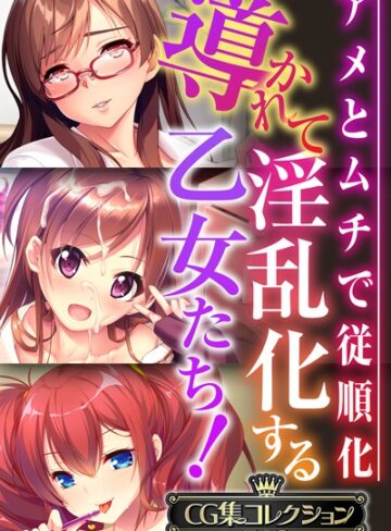 単行本❤導かれて淫乱化する乙女たち！〜アメとムチで従順化〜【CG集コレクションBIG】｜大人のSEXY絵本