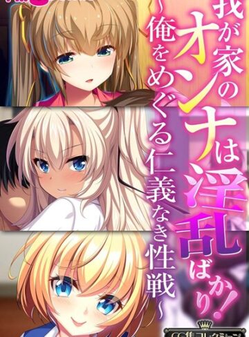 単行本❤我が家のオンナは淫乱ばかり！〜俺をめぐる仁義なき性戦〜【CG集コレクションBIG】｜大人のSEXY絵本