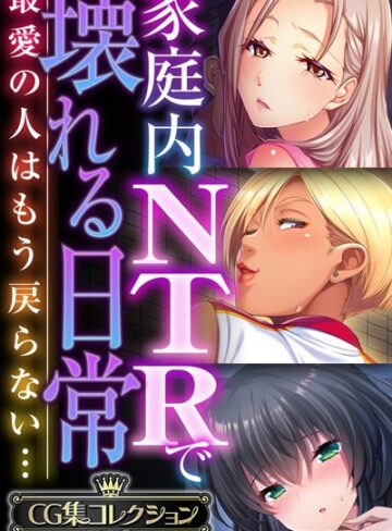 単行本❤家庭内NTRで壊れる日常 〜最愛の人はもう戻らない…〜【CG集コレクションBIG】｜大人のSEXY絵本