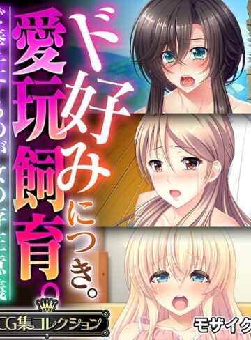 フルカラー❤ド好みにつき。愛玩飼育。 〜ご奉仕するのが女の存在意義〜【CG集コレクション】 モザイク版｜大人のSEXY絵本