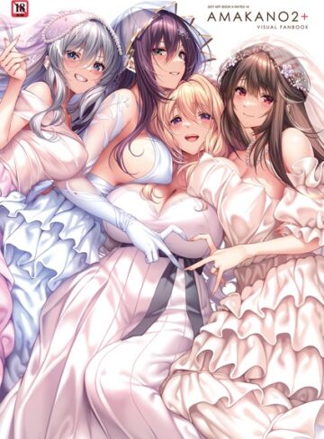 イラスト・CG集❤アマカノ2＋ ビジュアルファンブック｜ピロ水