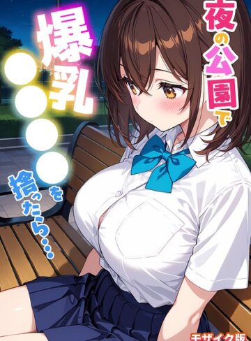 フルカラー❤夜の公園で爆乳●●●●を拾ったら… モザイク版｜StudioSR